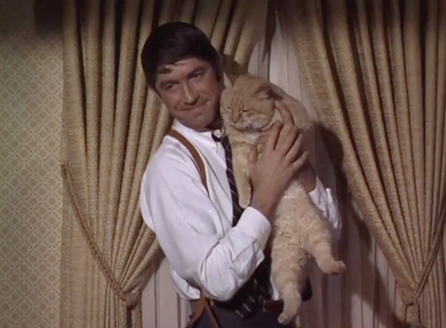 That Girl - The Detective Story - Detective Sergeant Ray Mandel Hal Buckley holding large ginger tabby cat