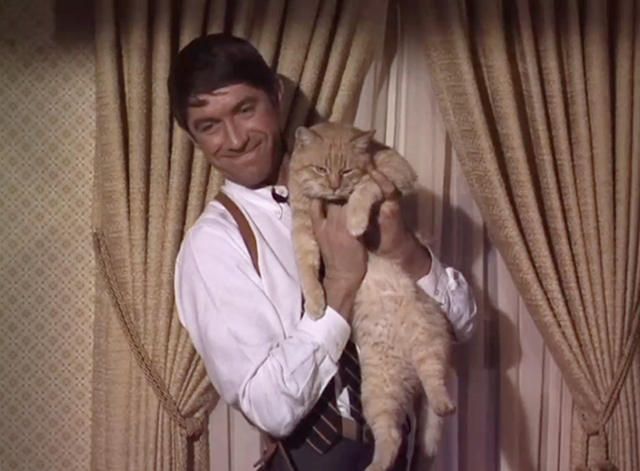 That Girl - The Detective Story - Detective Sergeant Ray Mandel Hal Buckley holding large ginger tabby cat