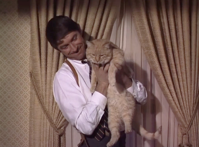 That Girl - The Detective Story - Detective Sergeant Ray Mandel Hal Buckley holding large ginger tabby cat