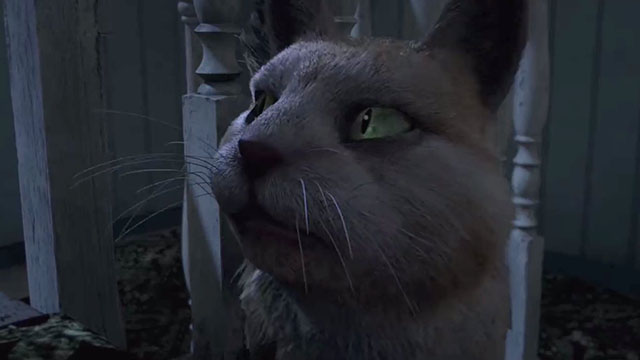 Watership Down - computer animated tabby cat Puss moving through banisters