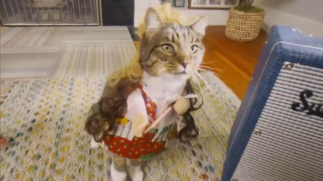 Growing Up - The Linda Lindas - tabby and white cat Lula wearing dress with guitar