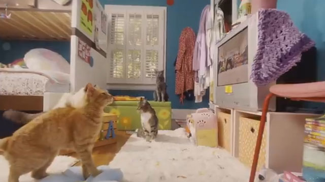 Growing Up - The Linda Lindas - tabby and white cat Lula, Himalayan Nino, ginger tabby Golden and blue Harold watching TV