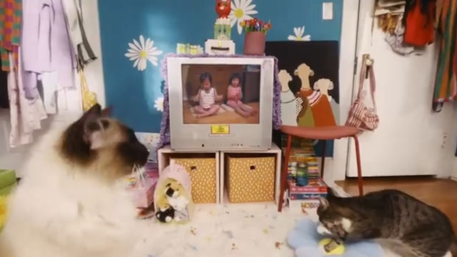 Growing Up - The Linda Lindas - tabby and white cat Lula and Himalayan Nino watching television