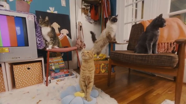 Growing Up - The Linda Lindas - tabby and white cat Lula, Himalayan Nino, ginger tabby Golden and blue Harold in bedroom