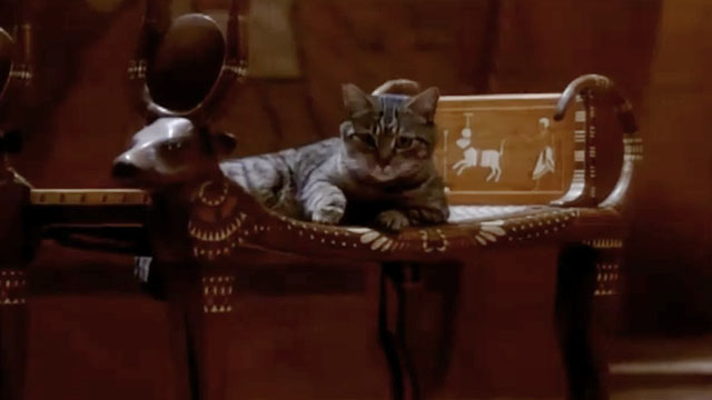 Remember the Time - Michael Jackson - tabby cat lying on Egyptian chair