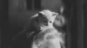 La dolce vita (1960)