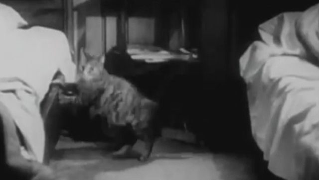 Midnight Shadow (1939)