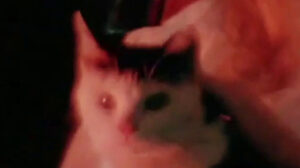 I tre volti della paura (1963)