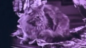 The Four Horsemen of the Apocalypse (1921)