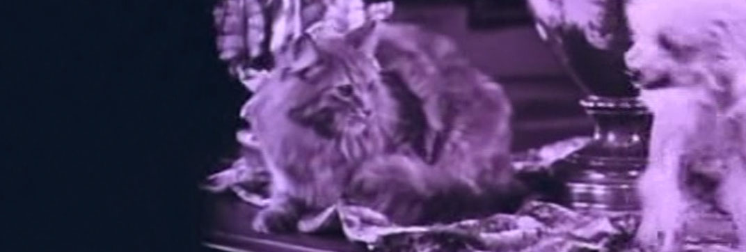 The Four Horsemen of the Apocalypse (1921)