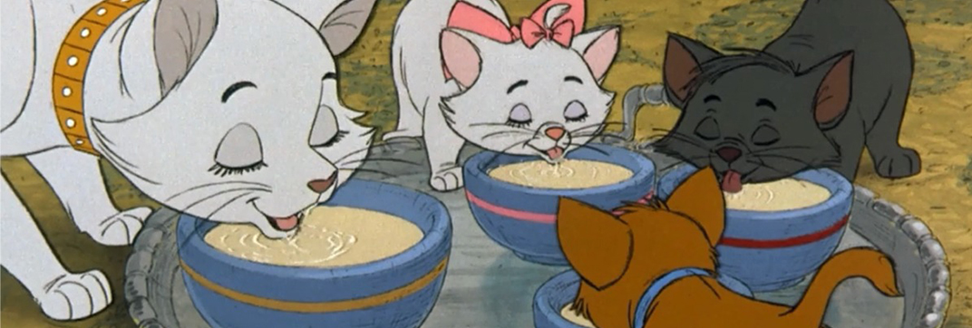 Disney Plus Arrives Bearing Cat Movies - Cinema Cats