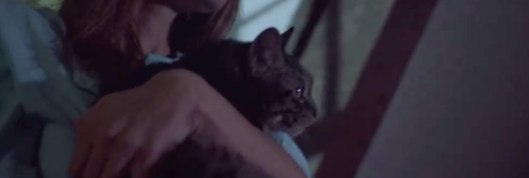 Friday the 13th, Part VII: The New Blood (1988) - Cinema Cats