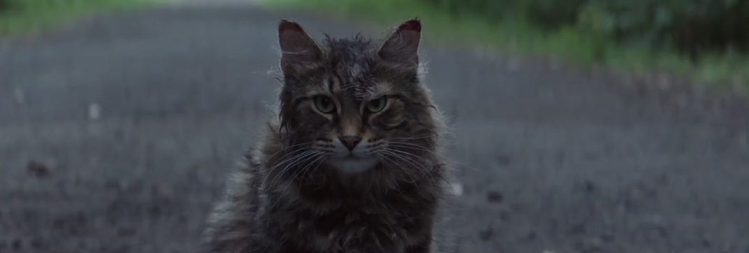 Pet Sematary 2019 - Cinema Cats