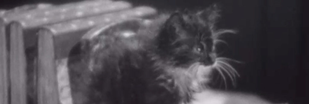 Underworld (1927) - Cinema Cats