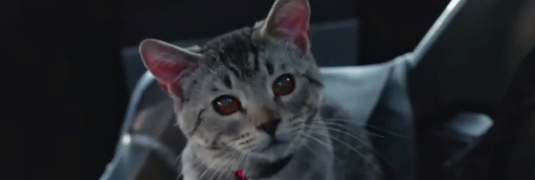 DC’s Legends of Tomorrow – “Legends of To-Meow-Meow”
