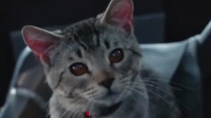 DC’s Legends of Tomorrow – “Legends of To-Meow-Meow”