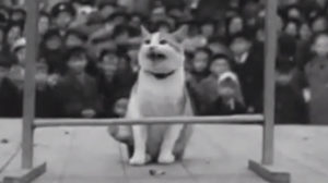 The Pets Perform! (1938)