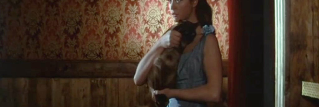 3 colpi di Winchester per Ringo (1966) - Cinema Cats