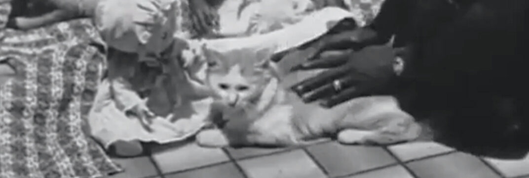 At Home With Boko (1954)