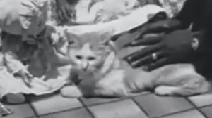 At Home With Boko (1954)