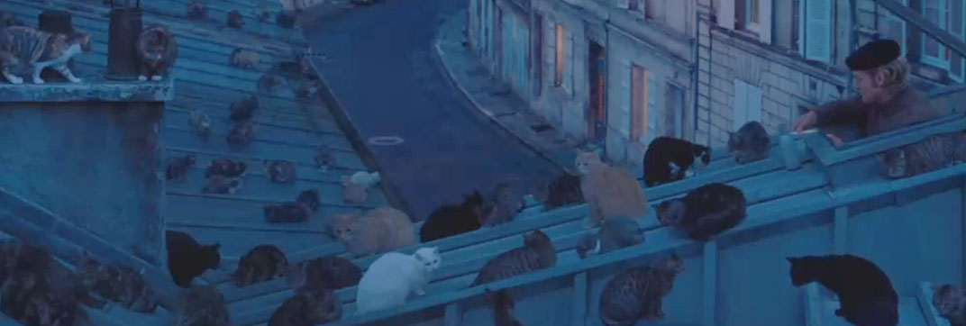 The French Dispatch (2021) - Cinema Cats