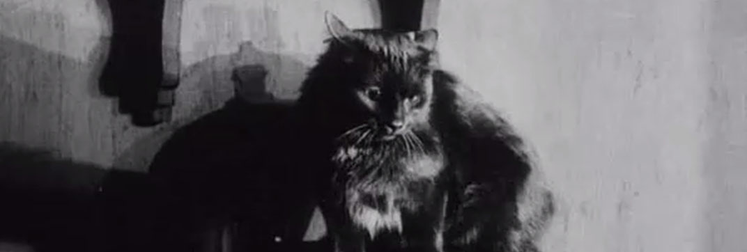 Kean (1924) - Cinema Cats