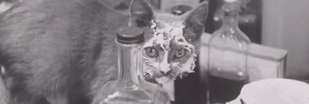 Torchy’s Kitty Coup (1933)