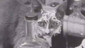 Torchy’s Kitty Coup (1933)