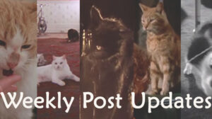 Weekly Post Updates