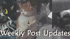 Weekly Post Updates