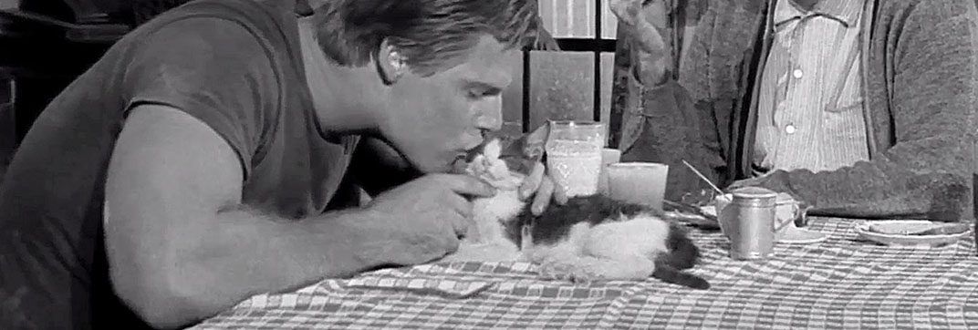 Faster, Pussycat. Kill! Kill! (1965)
