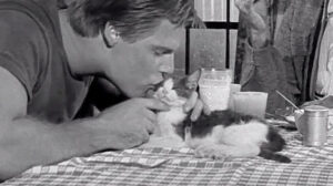 Faster, Pussycat. Kill! Kill! (1965)