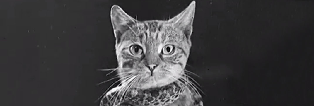 Franz Schmidt with Strange Pets (1947)