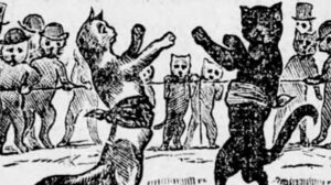 Pugilistic Pussycats – The History of Boxing Cats, Part One