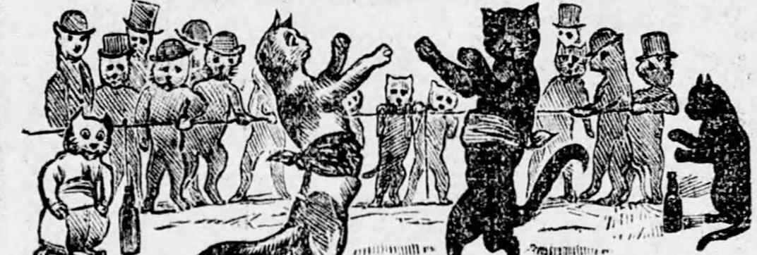 Pugilistic Pussycats – The History of Boxing Cats, Part One