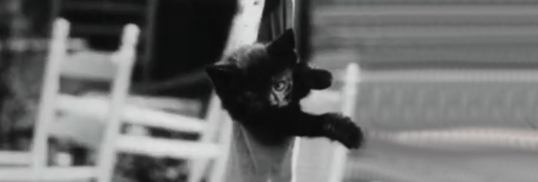Kitty Kapers (1929)