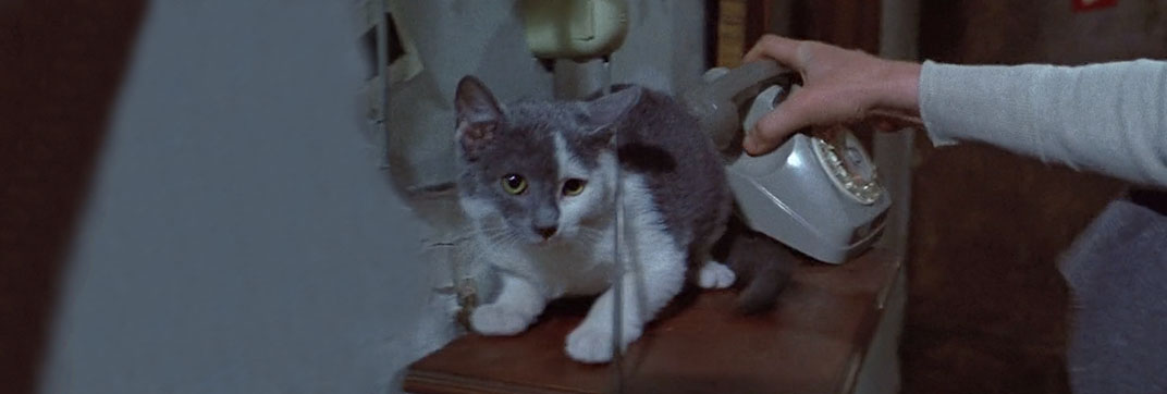 Live Like a Cop, Die Like a Man (1976) - Cinema Cats