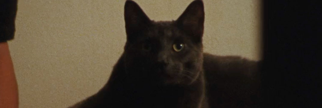 A Different Man (2024)