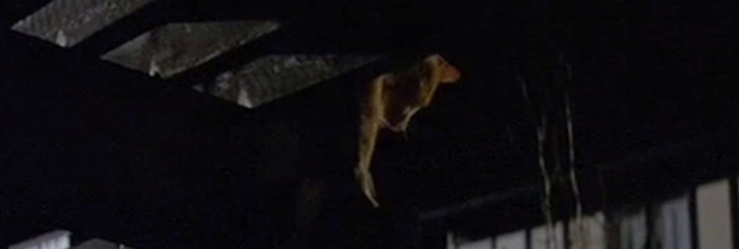 The Fourth Protocol (1987)