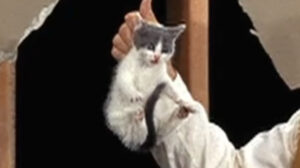 Here’s Lucy – “Lucy the Fixer”