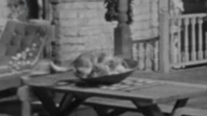 Make Haste to Live (1954)