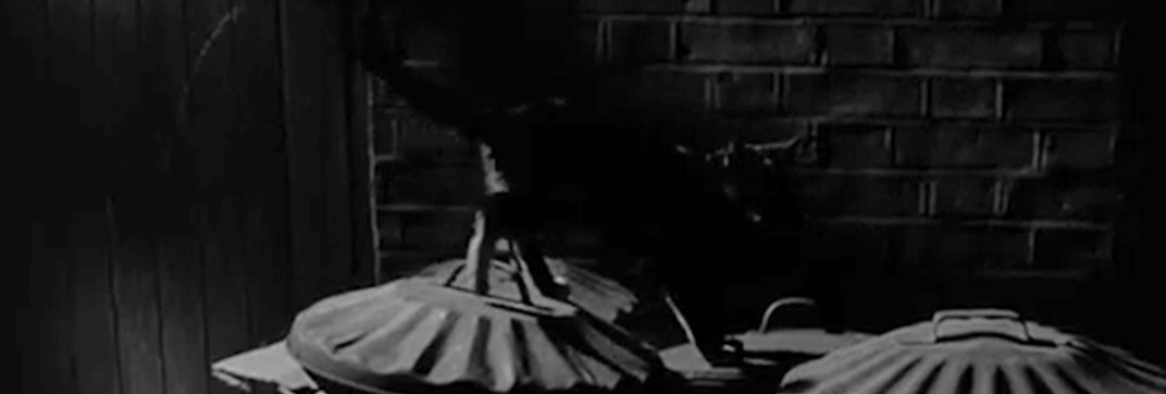 A Matter of Choice (1963)