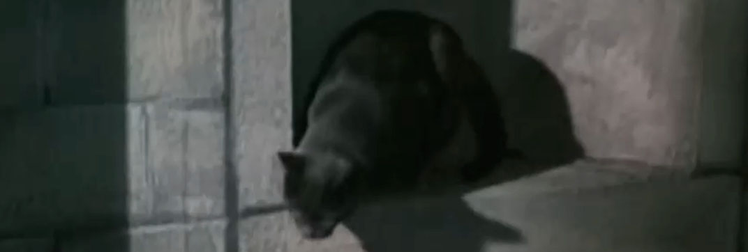 The Saint – “Vendetta for the Saint, Part Two”