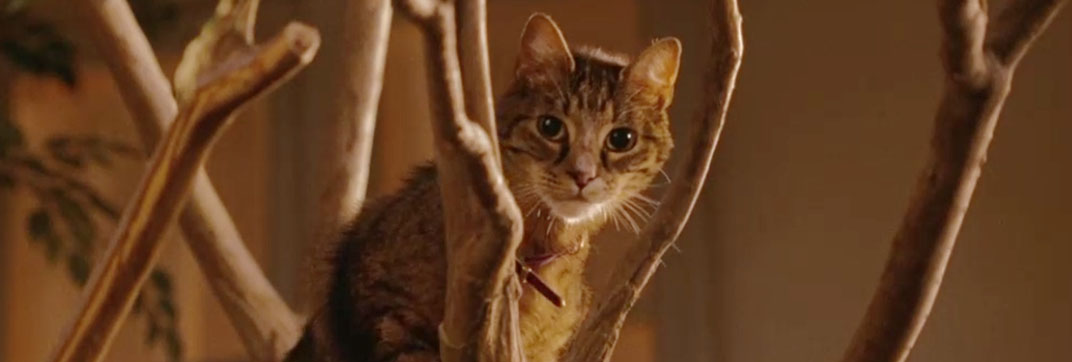 The Ugly Truth (2009)