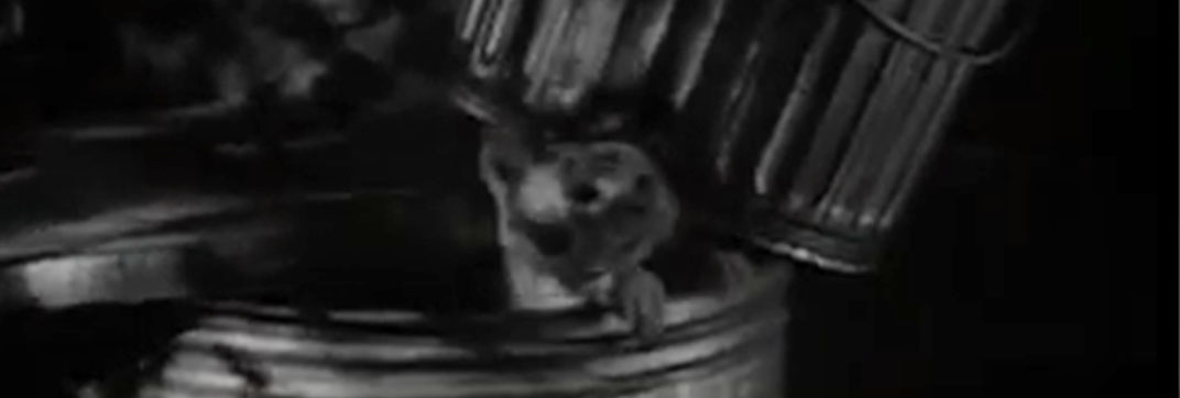 Checkmate – “Death Runs Wild”