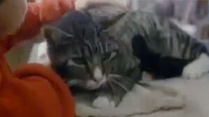 Stamp of a Killer (1987)