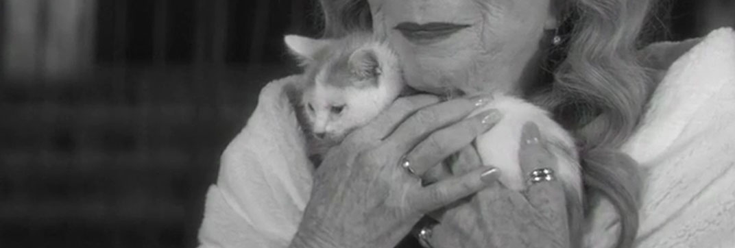 Elsa and Fred (2014)