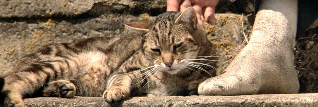 The Horseman on the Roof (1995)