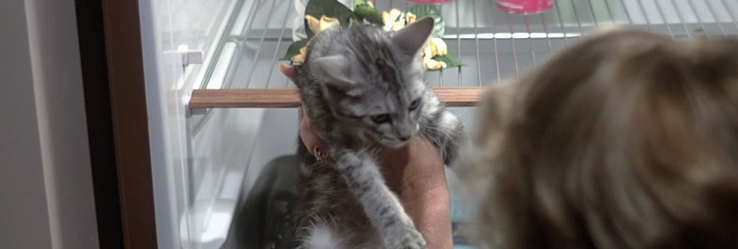 Love at First Bite (1979)