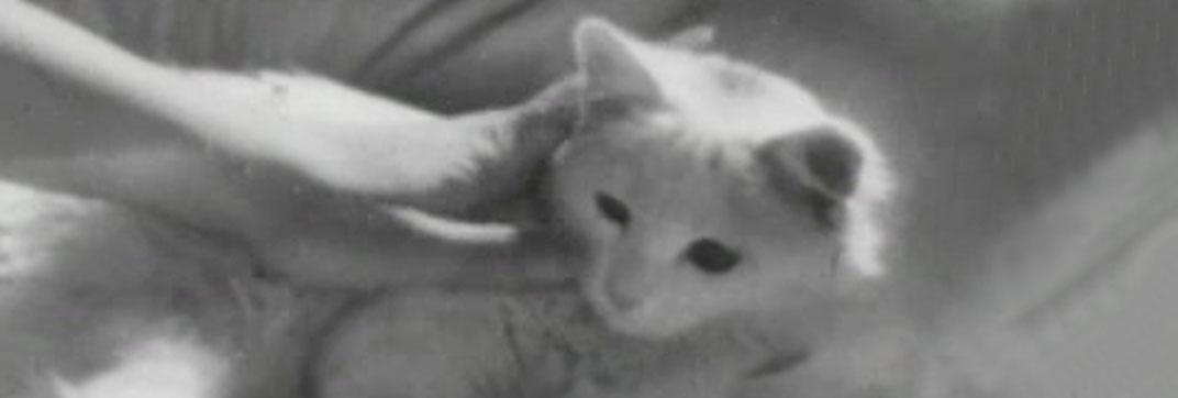 En stilla flirt (1934)